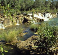 Flora River Nature Park - Tourism Brisbane