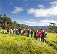 Apple Tree Park - Brisbane 4u
