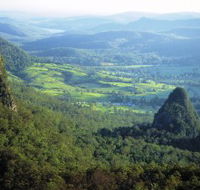 Springbrook Plateau Springbrook National Park - Brisbane 4u