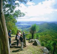 Gold Coast Hinterland Great Walk - Brisbane 4u