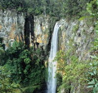 Gondwana Rainforests of Australia - Brisbane 4u