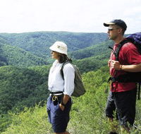 Sunshine Coast Hinterland Great Walk - Tourism Brisbane
