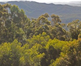 Reesville QLD Tourism Brisbane