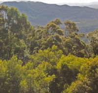 Conondale National Park - Tourism Brisbane