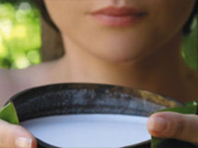 Ikatan Day Spa - Tourism Brisbane 0