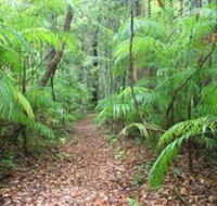 Delicia Road Conservation Park - Tourism Brisbane