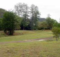 Brooyar State Forest - Tourism Brisbane