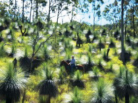Mudlo QLD Tourism Brisbane