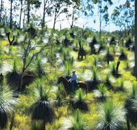 Bicentennial National Trail - Section 5 - Tourism Brisbane