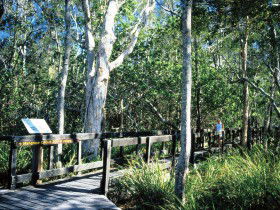 Noosa Heads QLD Brisbane Tourism
