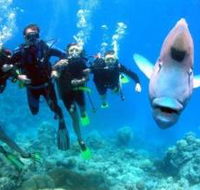 Magic Mountain Dive Site - Tourism Brisbane