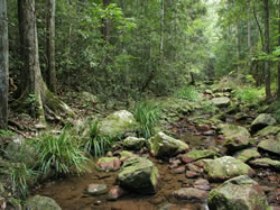 Amamoor QLD Tourism Brisbane