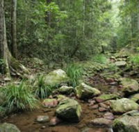 Amamoor State Forest - Tourism Brisbane