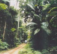 Conondale Great Walk - Tourism Brisbane