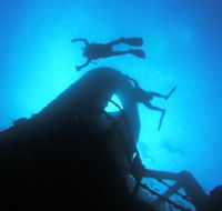 Ex HMAS Brisbane Dive Site - Tourism Brisbane