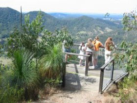 Mapleton Forest Reserve - Tourism Brisbane 0