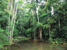 Mount Allan Trail - Brisbane Tourism 0