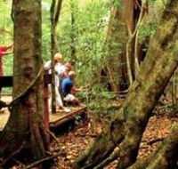 Mary Cairncross Scenic Reserve - Tourism Brisbane