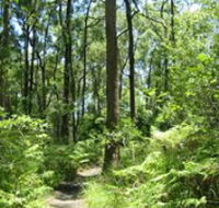 Mapleton Falls National Park - Tourism Brisbane