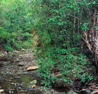 Mudlo National Park - Tourism Brisbane