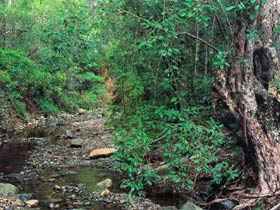 Mudlo National Park - Brisbane Tourism 0