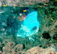 Michaelmas Cay Dive Site