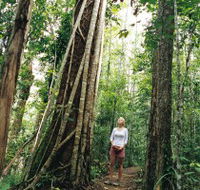 Wet Tropics - Tourism Brisbane