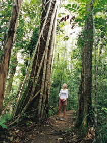 Wet Tropics - Tourism Brisbane 0