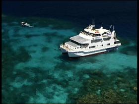 Fish Bowl Dive Site - Tourism Brisbane 0
