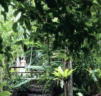 Flecker Botanic Gardens - Tourism Brisbane