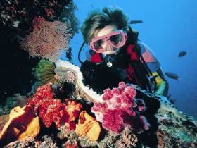 Osprey Reef - Tourism Brisbane 0