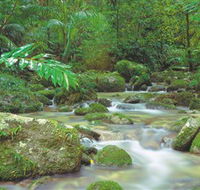 Mossman Gorge Daintree National Park - Tourism Brisbane