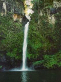 Nandroya Falls Circuit Track, Wooroonooran National Park - Brisbane 4u 0