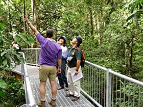 Daintree Discovery Centre - Tourism Brisbane 0