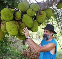 Cape Trib Exotic Fruit Farm - Tourism Brisbane