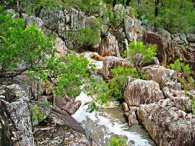  Tourism Brisbane