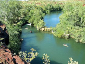 Wild Dog Dreaming, Boodjamulla (Lawn Hill) National Park - Tourism Brisbane 0