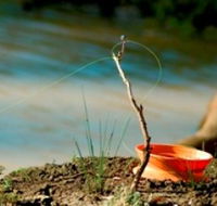 Charleville - Mangalore Warrego River Fishing Spot - Brisbane 4u