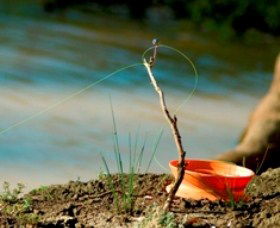 Charleville - Mangalore Warrego River Fishing Spot - Tourism Brisbane 0