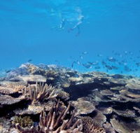 Australian Institute of Marine Science - Tourism Brisbane