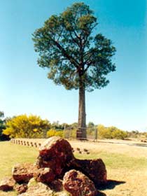 Humeburn QLD Tourism Brisbane