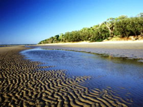 Burrum Coast National Park - Brisbane Tourism 0