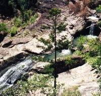 Banksia Track and the Boardwalk