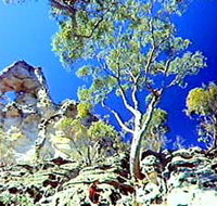 Mount Moffatt Section - Carnarvon National Park - Tourism Brisbane