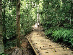 Malanda QLD Tourism Brisbane