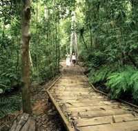 Lake Barrine Circuit Track Crater Lakes National Park - Tourism Brisbane
