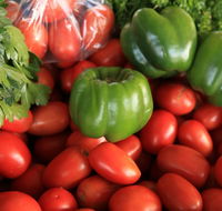 Burleigh Heads Markets - Tourism Brisbane