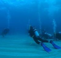 Child Island Dive Site - Brisbane Tourism