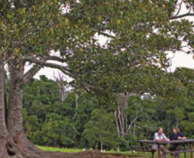 Cement Mills ACT Tourism Brisbane