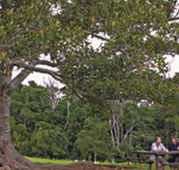 Ravensbourne National Park - Tourism Brisbane